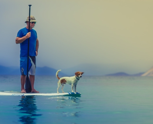 tips for stand up paddling with a dog