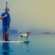 tips for stand up paddling with a dog