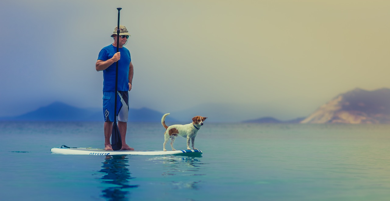 tips for stand up paddling with a dog