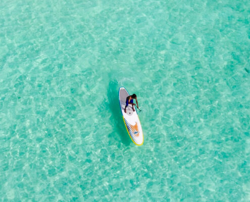 what is a stand up paddle board